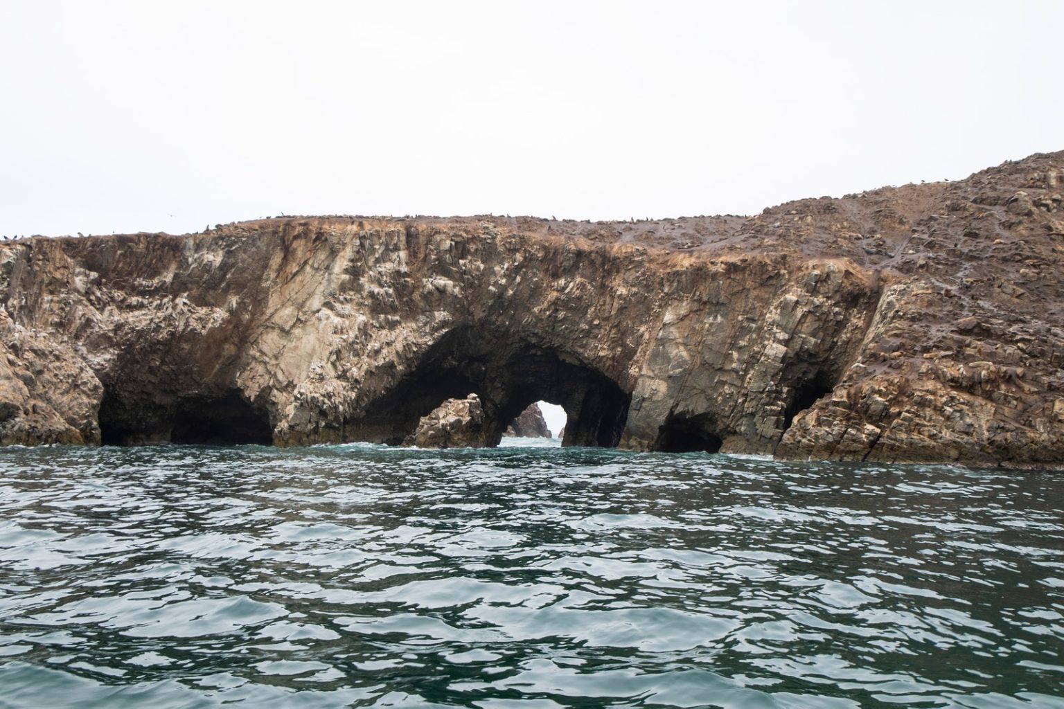 Islas Ballestas y Paracas, uno de los lugares más bellos del mundo